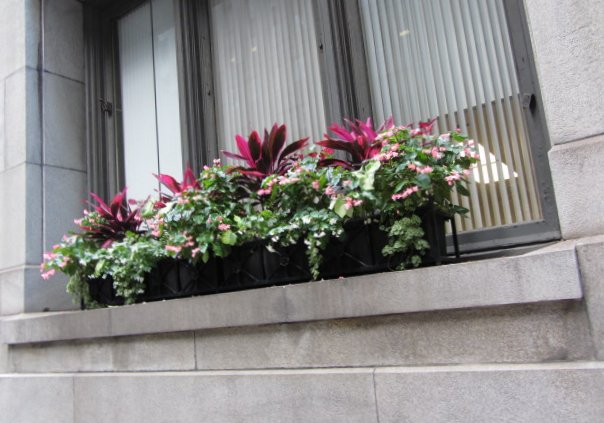 City Hall Window Sill